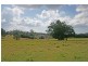 59 Wilson Road, Tamborine Mountain QLD 4272