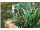 53 Long Road, Eagle Heights QLD 4271