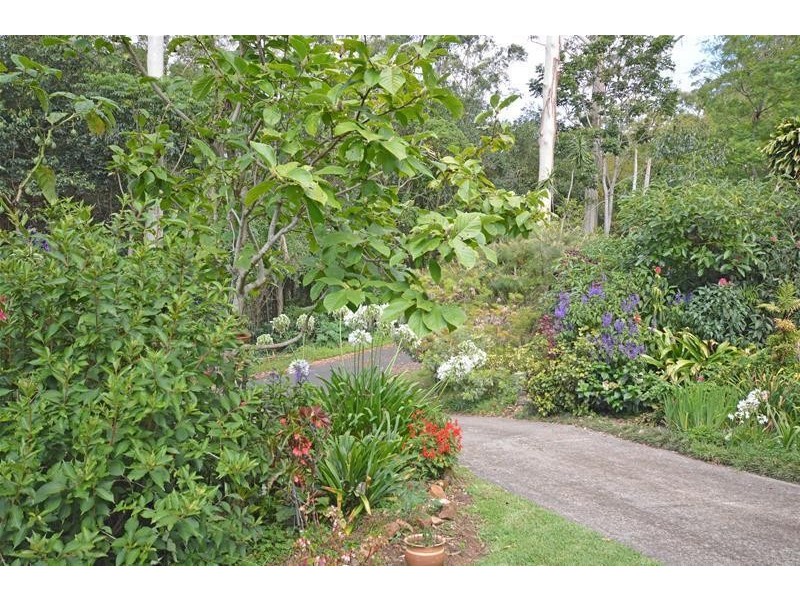 19 Morell Street, Tamborine Mountain QLD 4272