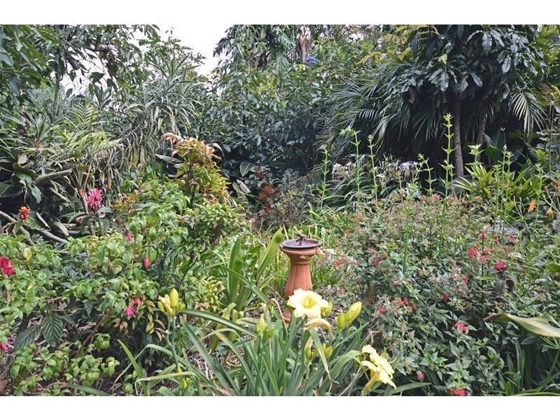 19 Morell Street, Tamborine Mountain QLD 4272