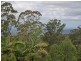 163 Wongawallan Road, Eagle Heights QLD 4271