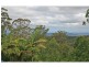 163 Wongawallan Road, Eagle Heights QLD 4271