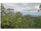 163 Wongawallan Road, Eagle Heights QLD 4271