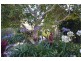 28 Stradbroke Avenue, Eagle Heights QLD 4271