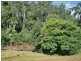 6 Long Road, Eagle Heights QLD 4271