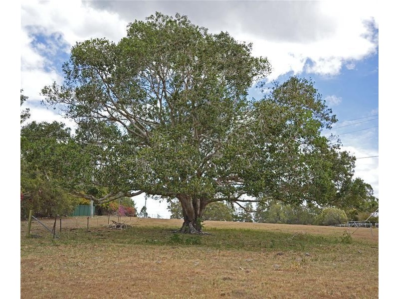 69 Hazel Road, Tamborine QLD 4270