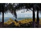 Tamborine Mountain QLD 4272