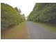 Tamborine Mountain QLD 4272