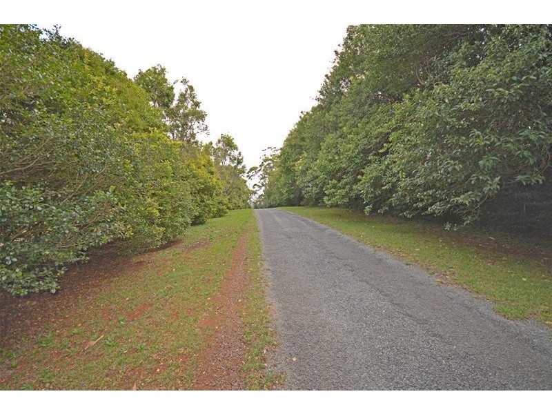 Tamborine Mountain QLD 4272