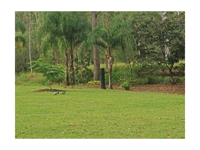 265 Tamborine Mountain Road, Tamborine QLD 4270