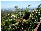 Eagle Heights QLD 4271