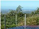 Eagle Heights QLD 4271