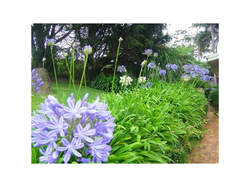 Eagle Heights QLD 4271