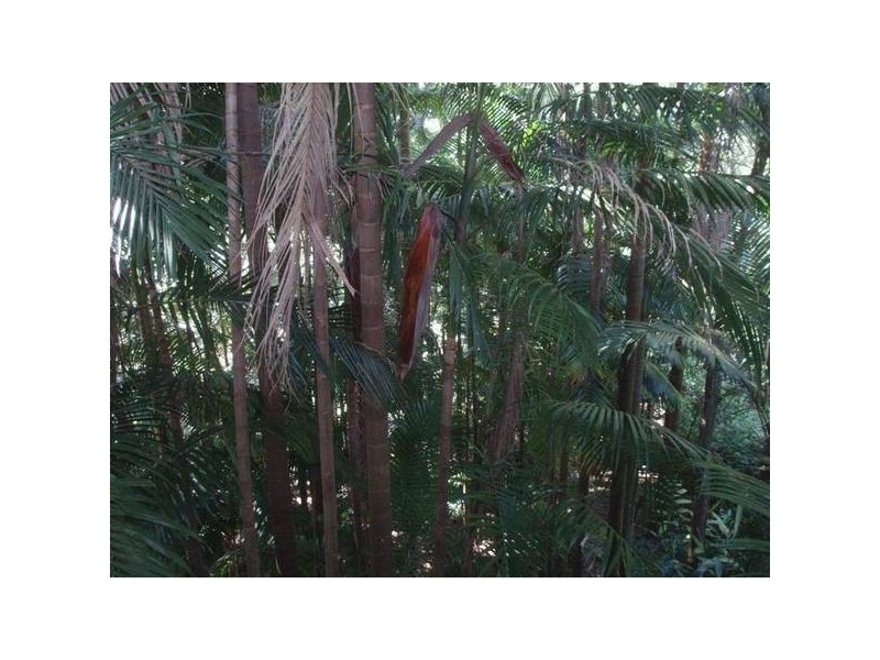 Eagle Heights QLD 4271