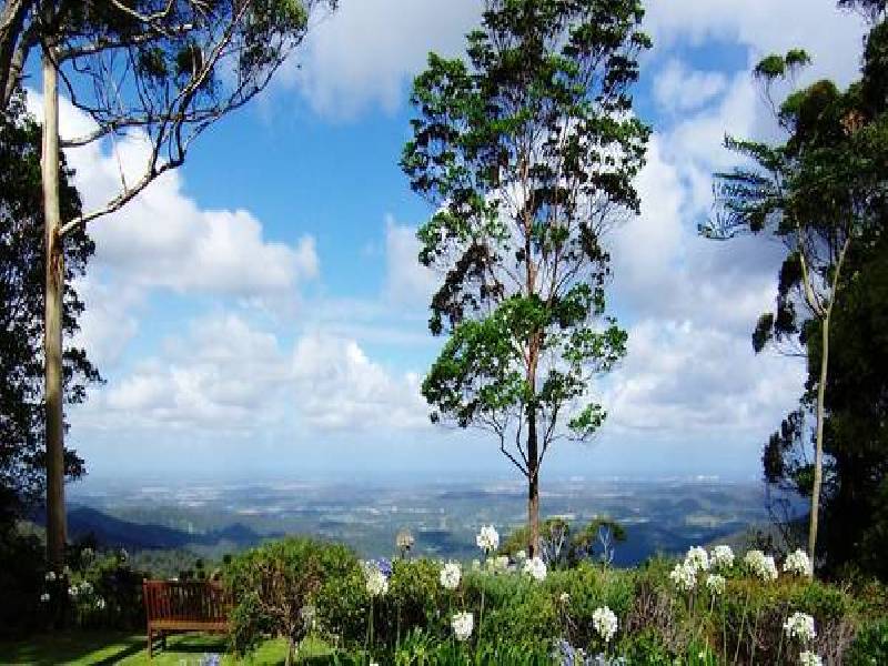 30-34 Caryota Court, North Tamborine QLD 4272