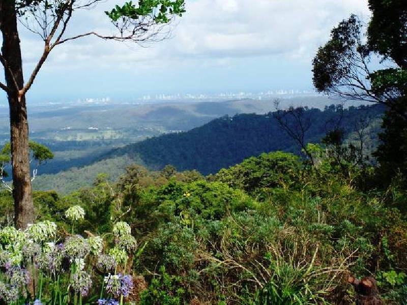 30-34 Caryota Court, North Tamborine QLD 4272