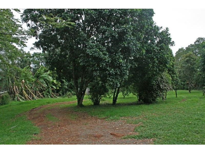 Tamborine Mountain QLD 4272