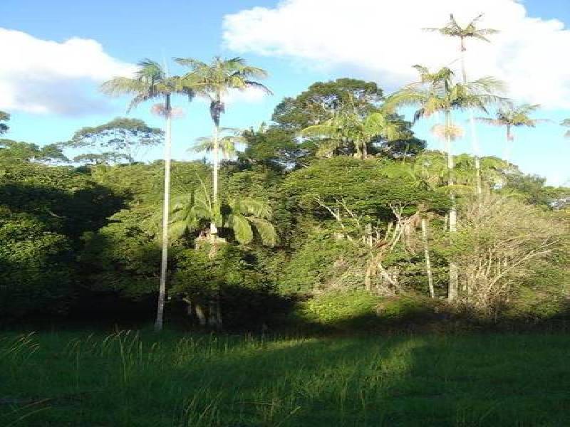 North Tamborine QLD 4272