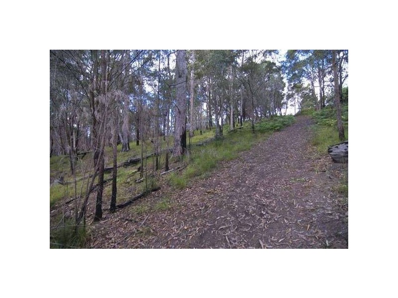 262 MacDonnell Road, Eagle Heights QLD 4271