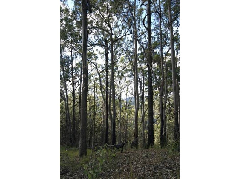 262 MacDonnell Road, Eagle Heights QLD 4271