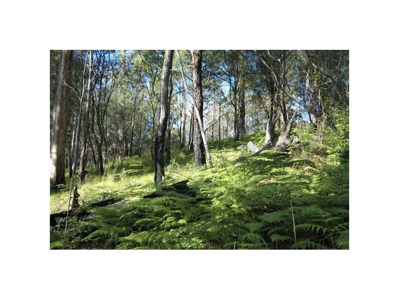 262 MacDonnell Road, Eagle Heights QLD 4271