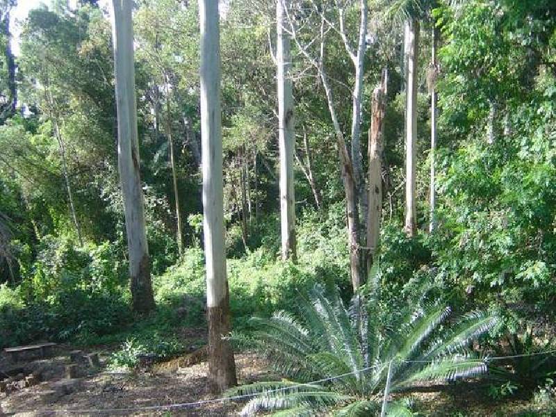 Eagle Heights QLD 4271