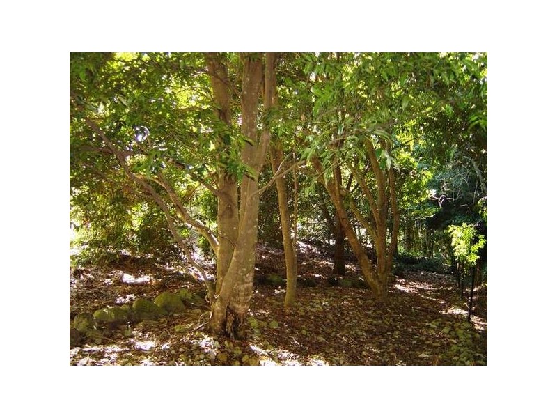 North Tamborine QLD 4272