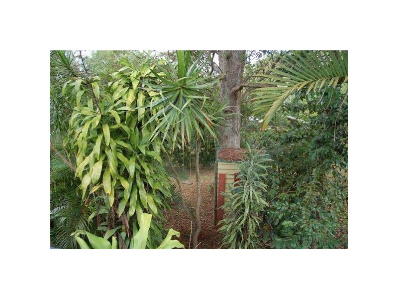 Eagle Heights QLD 4271