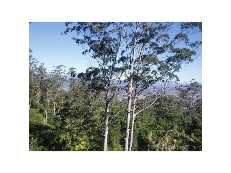 North Tamborine QLD 4272