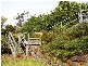 Eagle Heights QLD 4271
