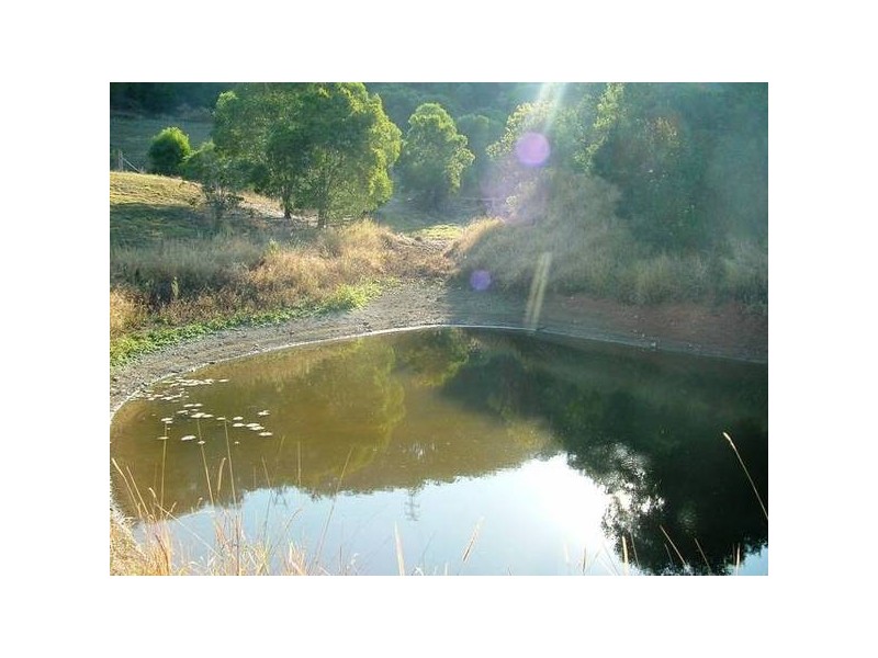 Wongawallan QLD 4210