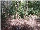 North Tamborine QLD 4272