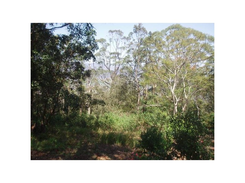 North Tamborine QLD 4272