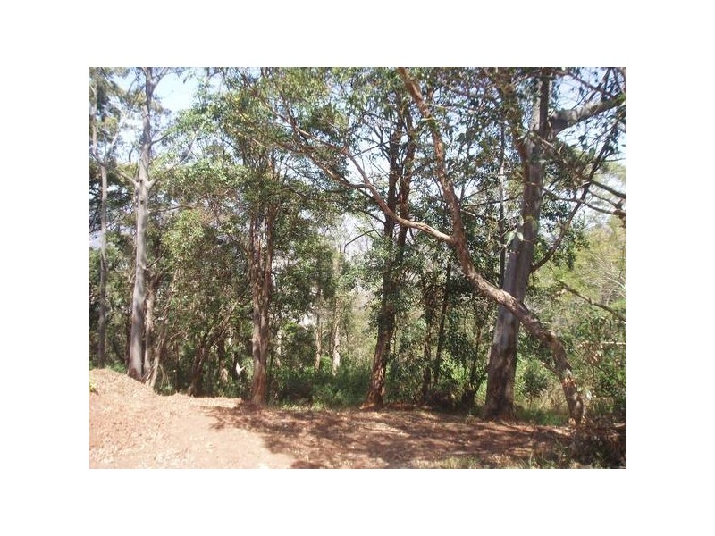 North Tamborine QLD 4272