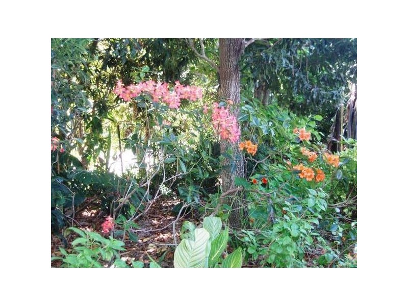 North Tamborine QLD 4272