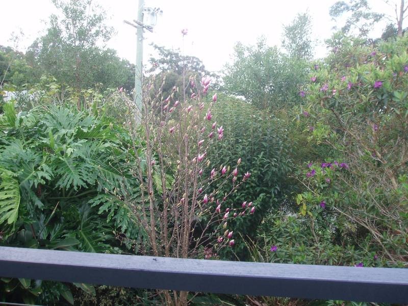 Eagle Heights QLD 4271