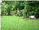 North Tamborine QLD 4272
