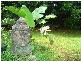 North Tamborine QLD 4272