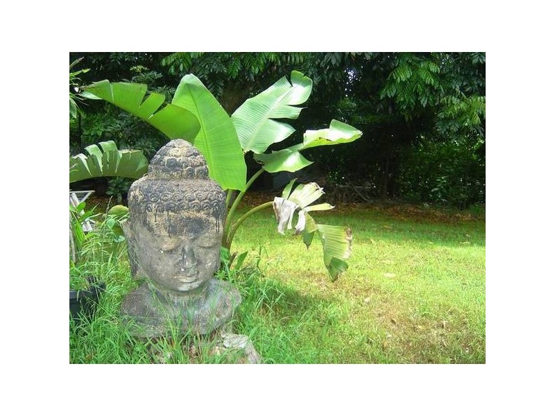 North Tamborine QLD 4272