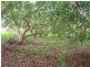 North Tamborine QLD 4272