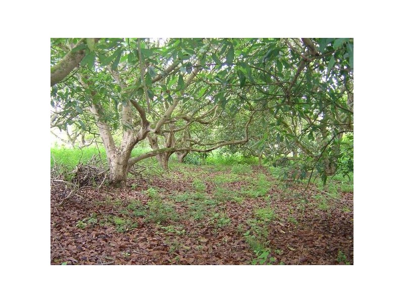 North Tamborine QLD 4272