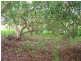 North Tamborine QLD 4272