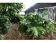 Eagle Heights QLD 4271