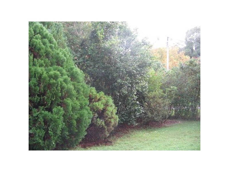 North Tamborine QLD 4272