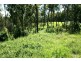 Wongawallan QLD 4210