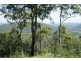 Wongawallan QLD 4210