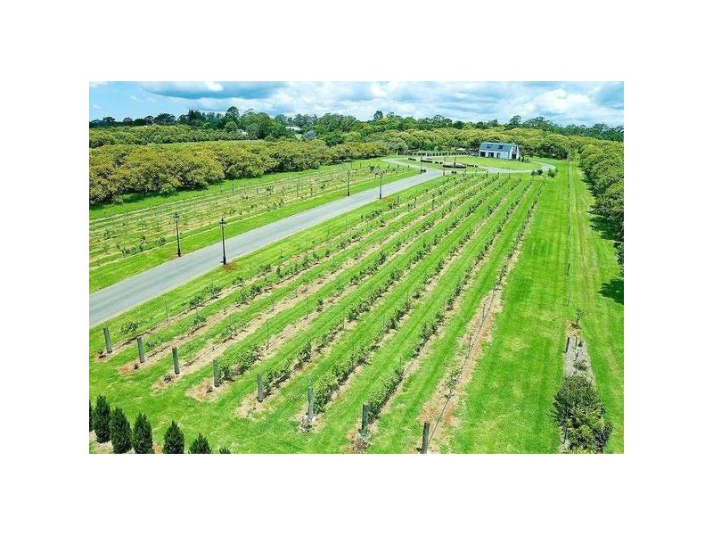 North Tamborine QLD 4272