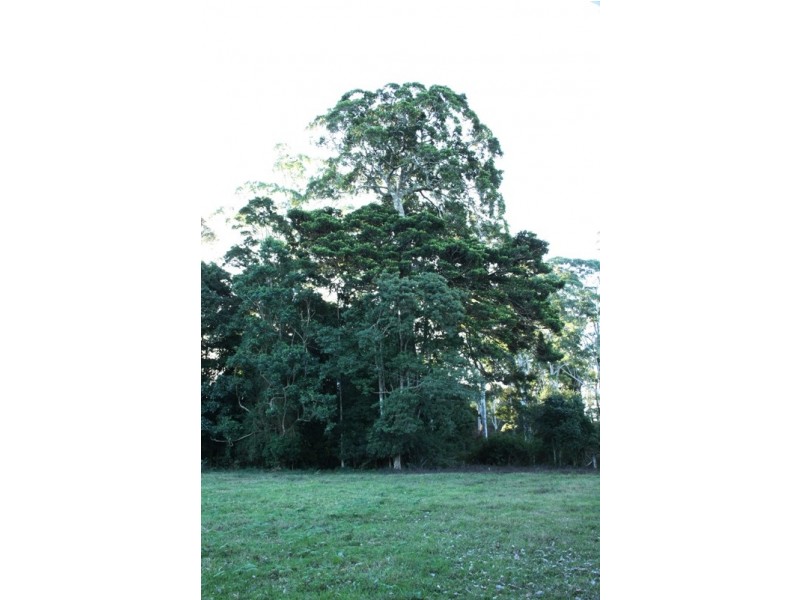 North Tamborine QLD 4272