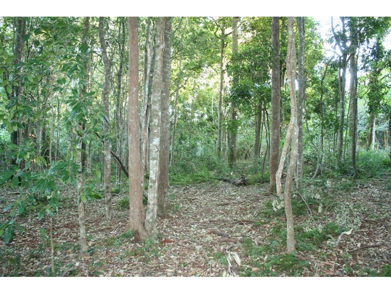 North Tamborine QLD 4272