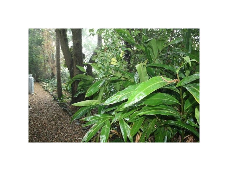 Eagle Heights QLD 4271